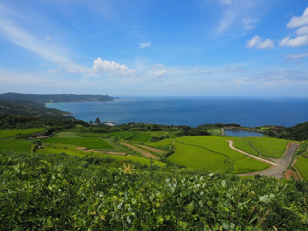 🌾 동쪽 뒤밭 다랑논 (히가시우시로바타 다나다) 이미지 5
